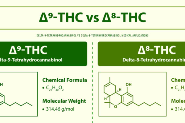 ∆9-THC vs ∆8-THC, Delta 9 Tetrahydrocannabinol vs Delta 8 Tetrahydrocannabinol horizontal infographic illustration about cannabis as herbal alternative medicine and chemical therapy, healthcare and medical science vector.