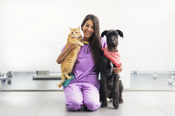 兴高采烈的女兽医抱着一只黄色的猫和狗。